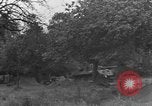 Standbild Deutsche Mark V Tank von den Amerikanern gefangengenommen Saint Lo Frankreich, 1944, aus Sekunde 31 historischem Filmmaterial Videoclip 65675041541