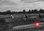 Standbild Prüfung deutscher Panzer Kassel Deutschland, 1945, aus Sekunde 25 historischem Filmmaterial Videoclip 65675041546