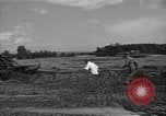 Standbild Prüfung deutscher Panzer Kassel Deutschland, 1945, aus Sekunde 30 historischem Filmmaterial Videoclip 65675041546