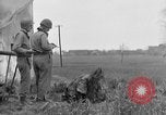 Standbild deutsche Kapitulation zum sechsten Armored Division Altenburg Deutschland, 1945, aus Sekunde 41 historischem Filmmaterial Videoclip 65675041547