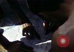 Immagine di Corea del Sud interprete Inchon Incheon Corea del Sud, 1950, secondo 53 filmato di repertorio 65675041551