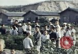 Immagine di Si è schiantato in aereo Inchon Incheon Corea del Sud, 1950, secondo 6 filmato di repertorio 65675041553