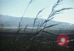 Image of burning village Korea, 1950, second 43 stock footage video 65675041558