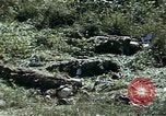 Image of United States Marines in Korea Korea, 1950, second 44 stock footage video 65675041559