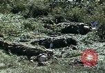 Image of United States Marines in Korea Korea, 1950, second 45 stock footage video 65675041559