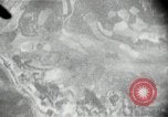 Image of pictures from US aircraft gun cameras Korea, 1950, second 13 stock footage video 65675041561