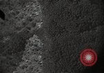 Image of US warplane strafing attack in Korea Korea, 1950, second 8 stock footage video 65675041562
