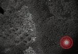 Image of US warplane strafing attack in Korea Korea, 1950, second 9 stock footage video 65675041562
