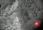 Image of US warplane strafing attack in Korea Korea, 1950, second 10 stock footage video 65675041562