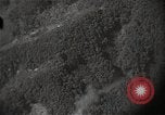 Image of US warplane strafing attack in Korea Korea, 1950, second 12 stock footage video 65675041562