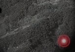 Image of US warplane strafing attack in Korea Korea, 1950, second 13 stock footage video 65675041562
