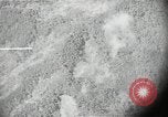Image of US warplane strafing attack in Korea Korea, 1950, second 14 stock footage video 65675041562