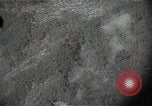 Image of US warplane strafing attack in Korea Korea, 1950, second 19 stock footage video 65675041562