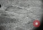Image of US warplane strafing attack in Korea Korea, 1950, second 29 stock footage video 65675041562