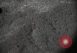 Image of US warplane strafing attack in Korea Korea, 1950, second 38 stock footage video 65675041562