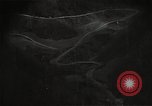 Image of US warplanes strafing LOCs in Korea Korea, 1950, second 56 stock footage video 65675041563