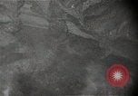 Image of Gun camera views of US aircraft strafing run Korea, 1950, second 18 stock footage video 65675041567