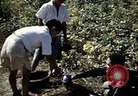 Image des Marines des États-Unis Inchon Incheon en Corée du Sud, 1950, de la seconde 15 séquences d'archives historiques vidéo 65675041569