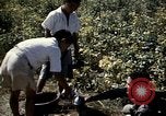 Image des Marines des États-Unis Inchon Incheon en Corée du Sud, 1950, de la seconde 16 séquences d'archives historiques vidéo 65675041569