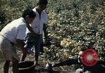 Image des Marines des États-Unis Inchon Incheon en Corée du Sud, 1950, de la seconde 18 séquences d'archives historiques vidéo 65675041569