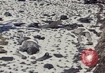 Image of Destroyed Army convoy Hoengsong Korea, 1951, second 10 stock footage video 65675041573