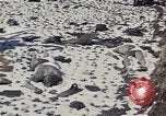 Image of Destroyed Army convoy Hoengsong Korea, 1951, second 13 stock footage video 65675041573