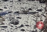 Image of Destroyed Army convoy Hoengsong Korea, 1951, second 20 stock footage video 65675041573
