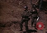 Image of Military Police Korea, 1951, second 24 stock footage video 65675041574