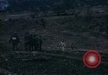 Image of South Korean Marine translator Korea, 1951, second 56 stock footage video 65675041575