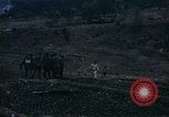 Image of South Korean Marine translator Korea, 1951, second 57 stock footage video 65675041575