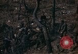 Standbild Vereinigten Staaten Marines Korea, 1951, aus Sekunde 6 historischem Filmmaterial Videoclip 65675041576