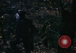 Standbild Vereinigten Staaten Marines Korea, 1951, aus Sekunde 43 historischem Filmmaterial Videoclip 65675041576