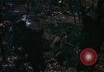 Standbild Vereinigten Staaten Marines Korea, 1951, aus Sekunde 49 historischem Filmmaterial Videoclip 65675041576