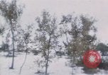Immagine di Stati Uniti Marines Corea, 1951, secondo 4 filmato di repertorio 65675041579