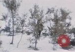 Immagine di Stati Uniti Marines Corea, 1951, secondo 8 filmato di repertorio 65675041579