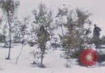 Immagine di Stati Uniti Marines Corea, 1951, secondo 9 filmato di repertorio 65675041579