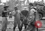 Immagine di Stati Uniti Marines Tacloban città isola di Leyte Filippine, 1945, secondo 48 filmato di repertorio 65675041588