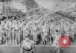 Immagine di Liberatore bombardieri Teatro pacifico, 1943, secondo 8 filmato di repertorio 65675041589