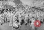 Immagine di Liberatore bombardieri Teatro pacifico, 1943, secondo 9 filmato di repertorio 65675041589