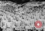 Immagine di Liberatore bombardieri Teatro pacifico, 1943, secondo 12 filmato di repertorio 65675041589