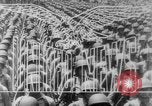 Immagine di Liberatore bombardieri Teatro pacifico, 1943, secondo 15 filmato di repertorio 65675041589