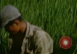 Standbild Marine Truppen Naktong Fluss Korea, 1950, aus Sekunde 52 historischem Filmmaterial Videoclip 65675041597
