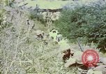 Standbild Vereinigten Staaten Truppen Inchon Incheon South Korea, 1950, aus Sekunde 14 historischem Filmmaterial Videoclip 65675041601