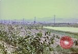 Standbild Vereinigten Staaten Truppen Inchon Incheon South Korea, 1950, aus Sekunde 38 historischem Filmmaterial Videoclip 65675041601