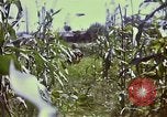 Standbild Vereinigten Staaten Truppen Inchon Incheon South Korea, 1950, aus Sekunde 45 historischem Filmmaterial Videoclip 65675041601