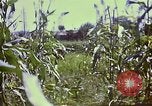 Standbild Vereinigten Staaten Truppen Inchon Incheon South Korea, 1950, aus Sekunde 46 historischem Filmmaterial Videoclip 65675041601