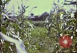 Standbild Vereinigten Staaten Truppen Inchon Incheon South Korea, 1950, aus Sekunde 47 historischem Filmmaterial Videoclip 65675041601