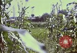 Standbild Vereinigten Staaten Truppen Inchon Incheon South Korea, 1950, aus Sekunde 48 historischem Filmmaterial Videoclip 65675041601