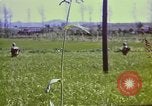 Standbild Vereinigten Staaten Truppen Inchon Incheon South Korea, 1950, aus Sekunde 49 historischem Filmmaterial Videoclip 65675041601