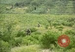 Immagine di Stati Uniti Marines Fiume Naktong Corea, 1950, secondo 5 filmato di repertorio 65675041605